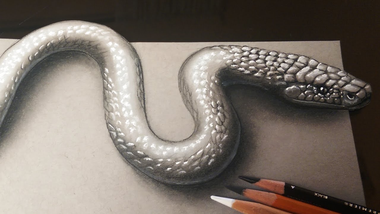 Snake 3d Drawing at GetDrawings Free download