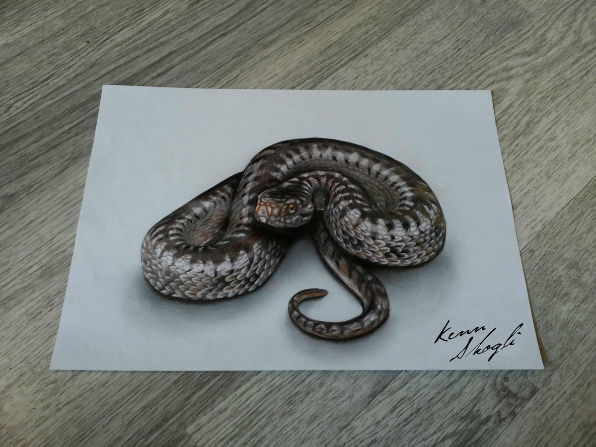 Snake 3d Drawing at GetDrawings Free download
