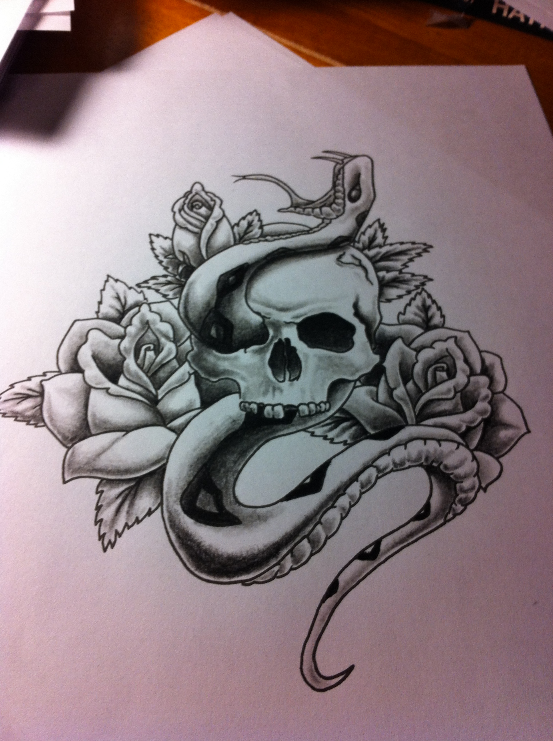 Snake And Skull Drawing at GetDrawings | Free download