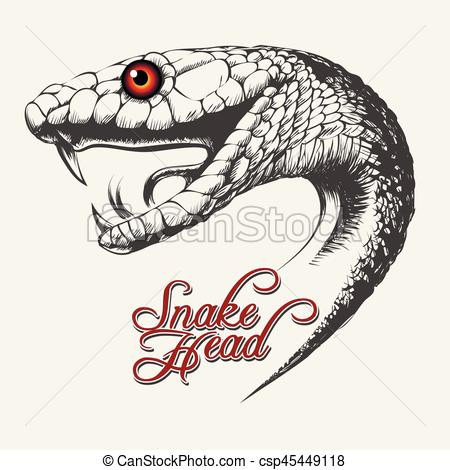 Snake Head Drawing at GetDrawings | Free download