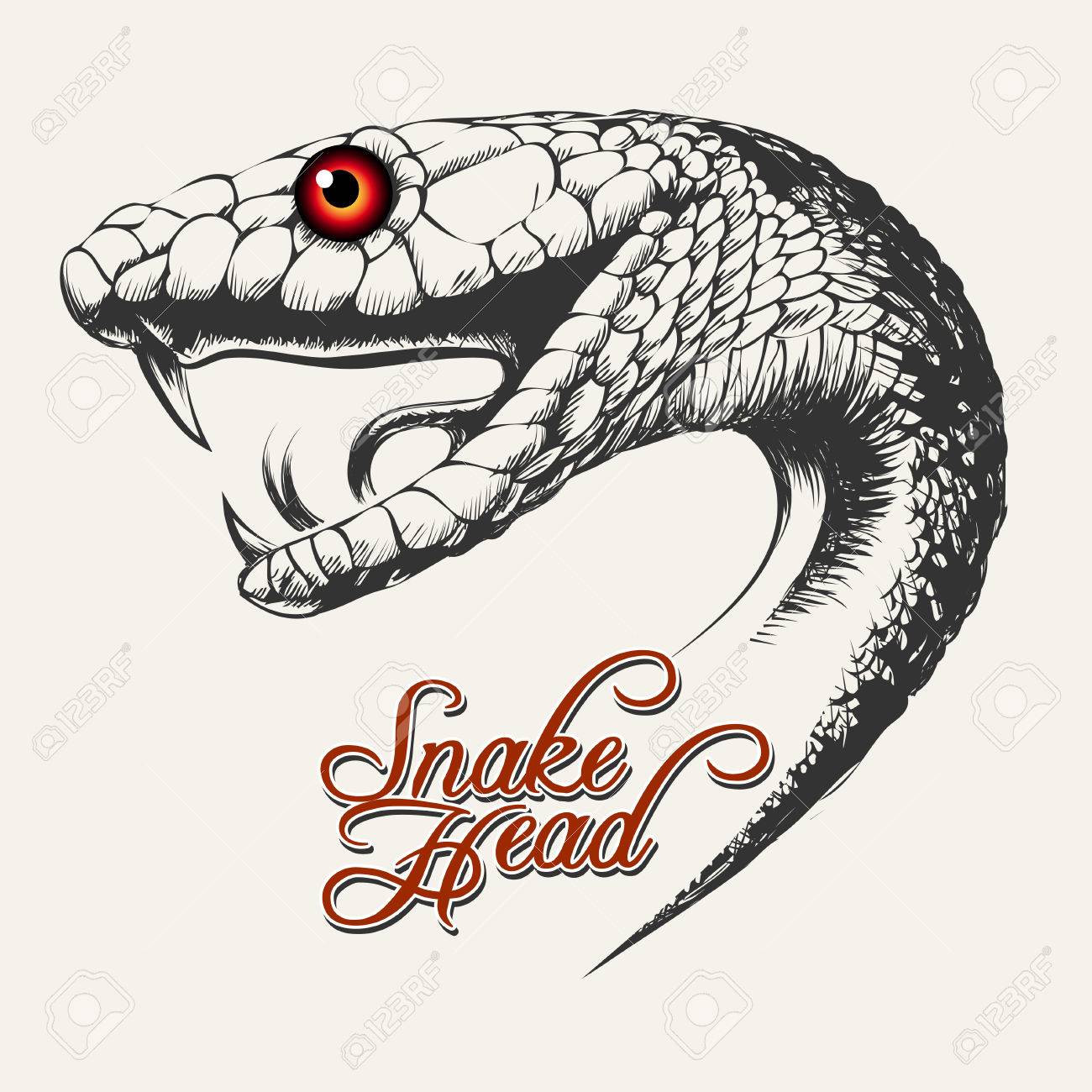 Snake Drawing Mouth Open Copperhead Venomous Cobra Fangs Snakes