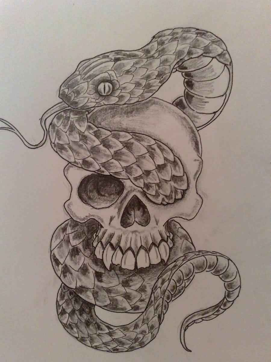 snake skull sketch