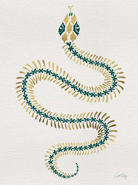 Snake Skeleton Drawing at GetDrawings | Free download