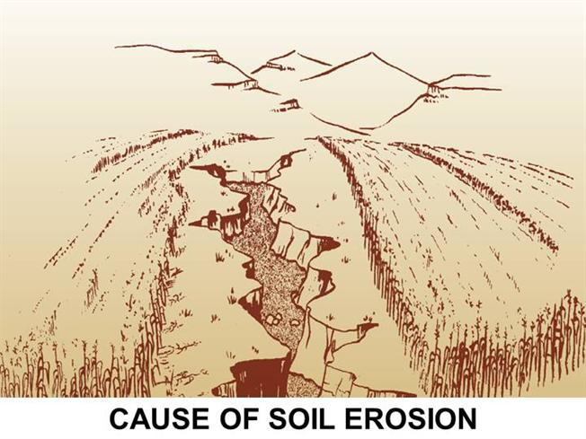 Soil Drawing at GetDrawings | Free download