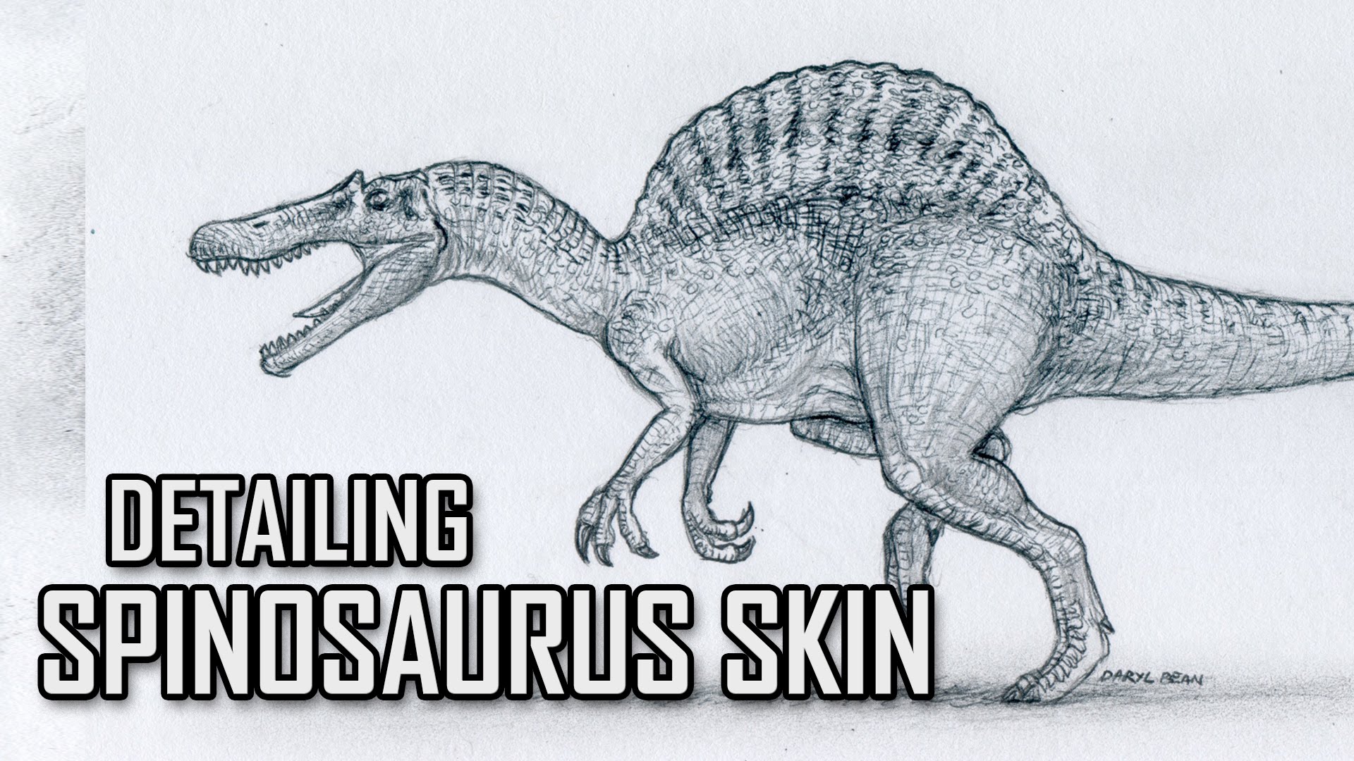 Spinosaurus Drawing At Getdrawings Free Download 