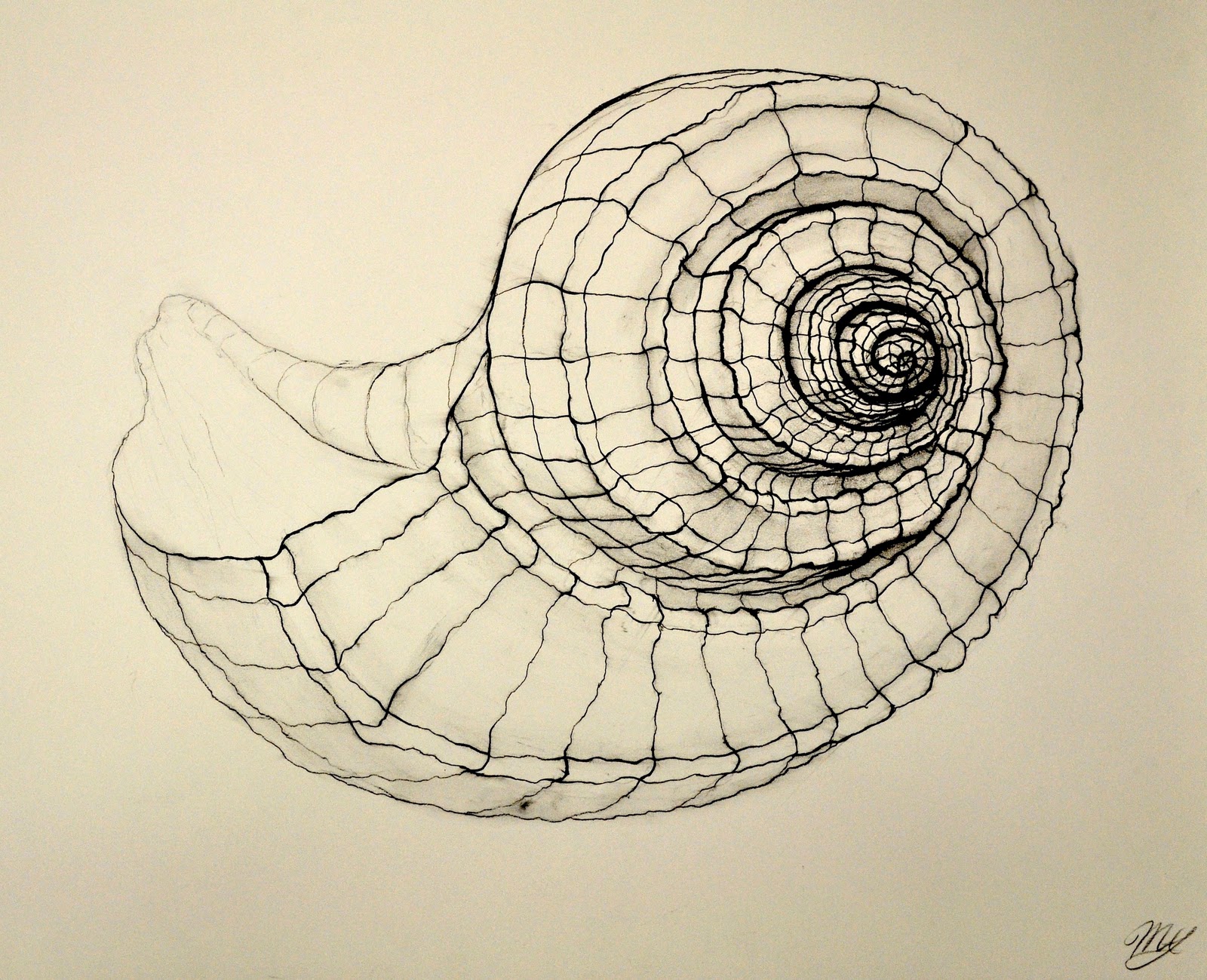  Draw Spiral In Sketch with Pencil