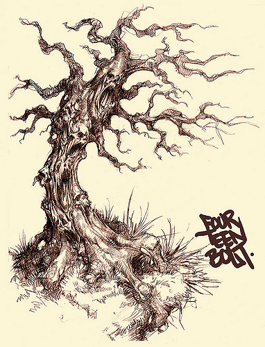 Spooky Tree Drawing at GetDrawings | Free download