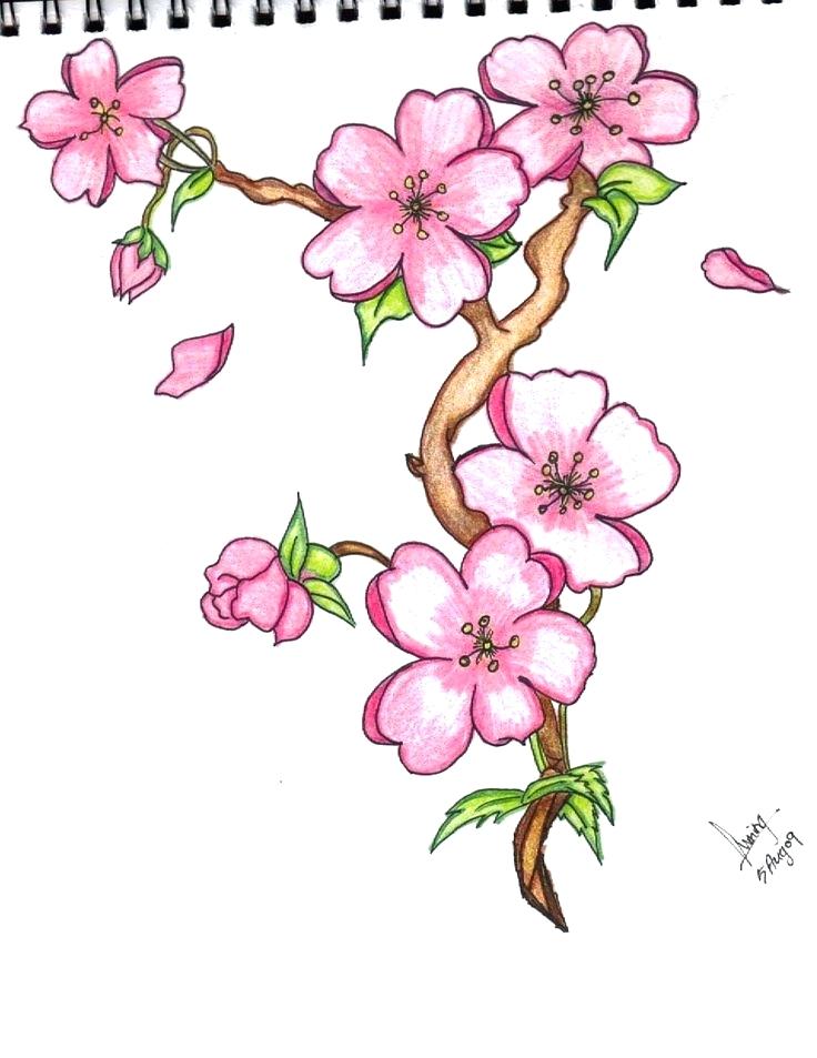 Spring Flowers Drawing at GetDrawings Free download
