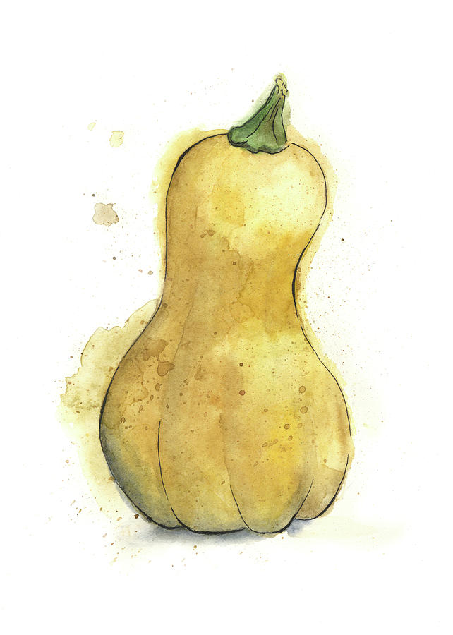 Squash Drawing at GetDrawings | Free download