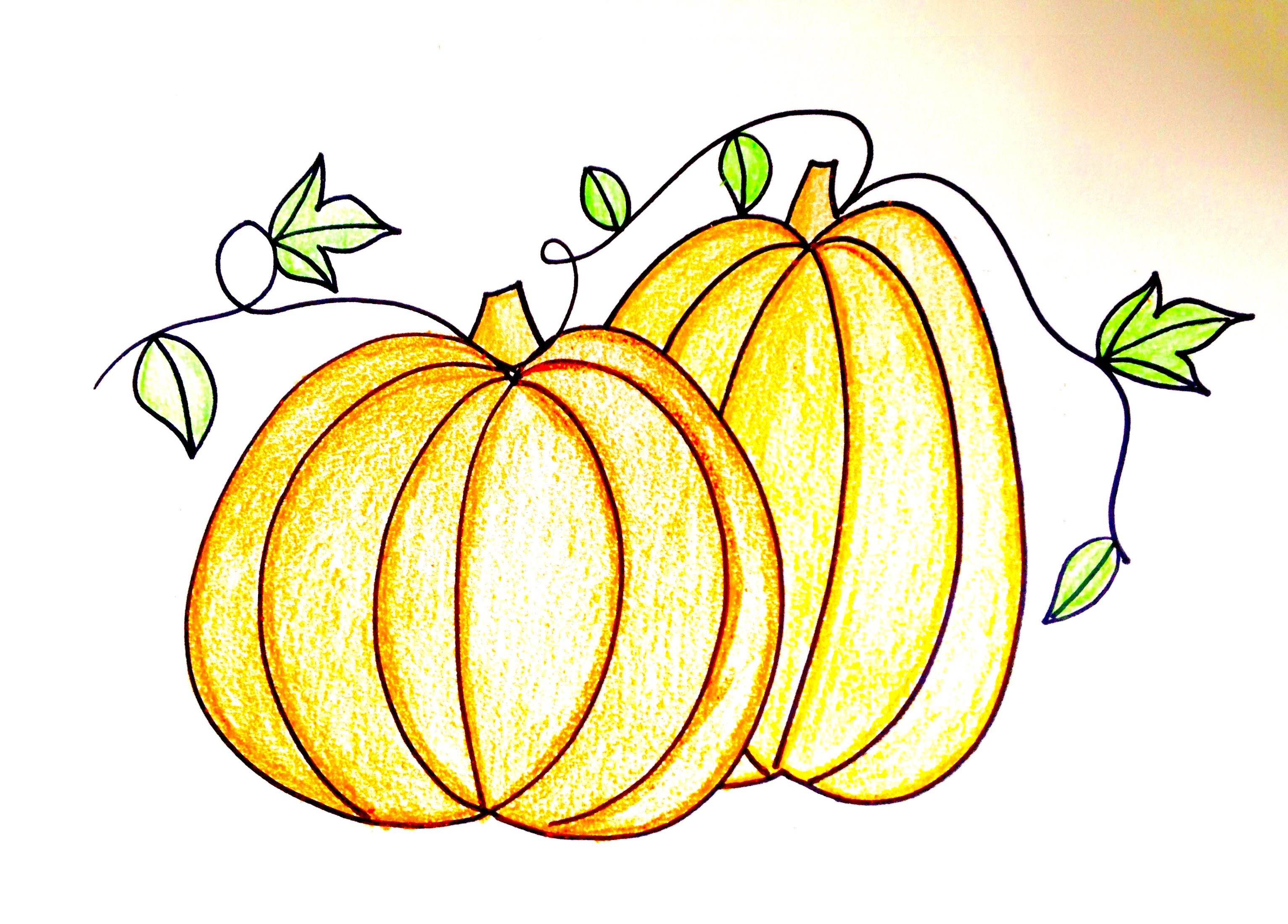 Squash Drawing at GetDrawings | Free download