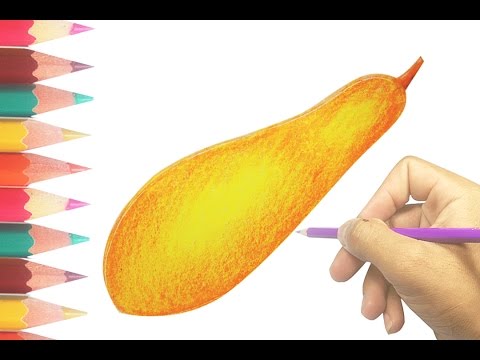 Squash Drawing at GetDrawings | Free download