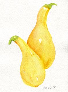 Squash Drawing at GetDrawings | Free download