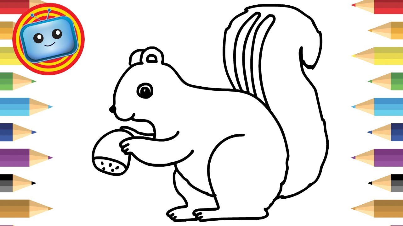 squirrel mowing acorn drawing