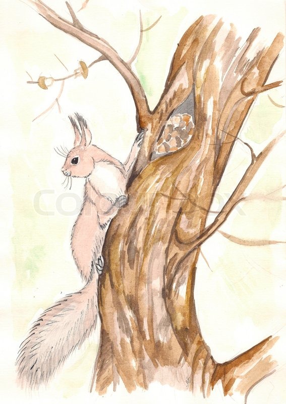 Squirrel In Tree Drawing At Getdrawings Free Download