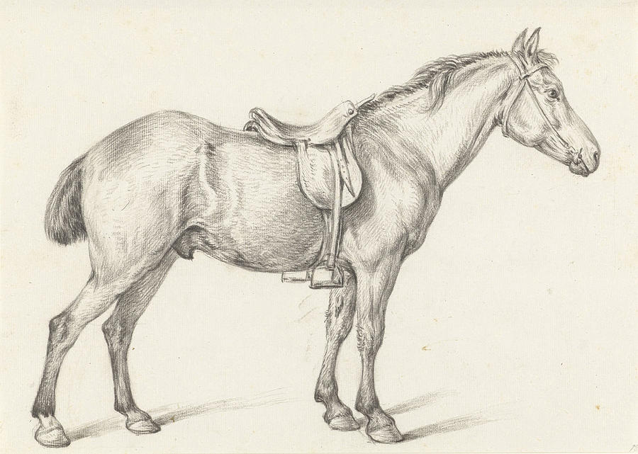 Standing Horse Drawing at GetDrawings Free download