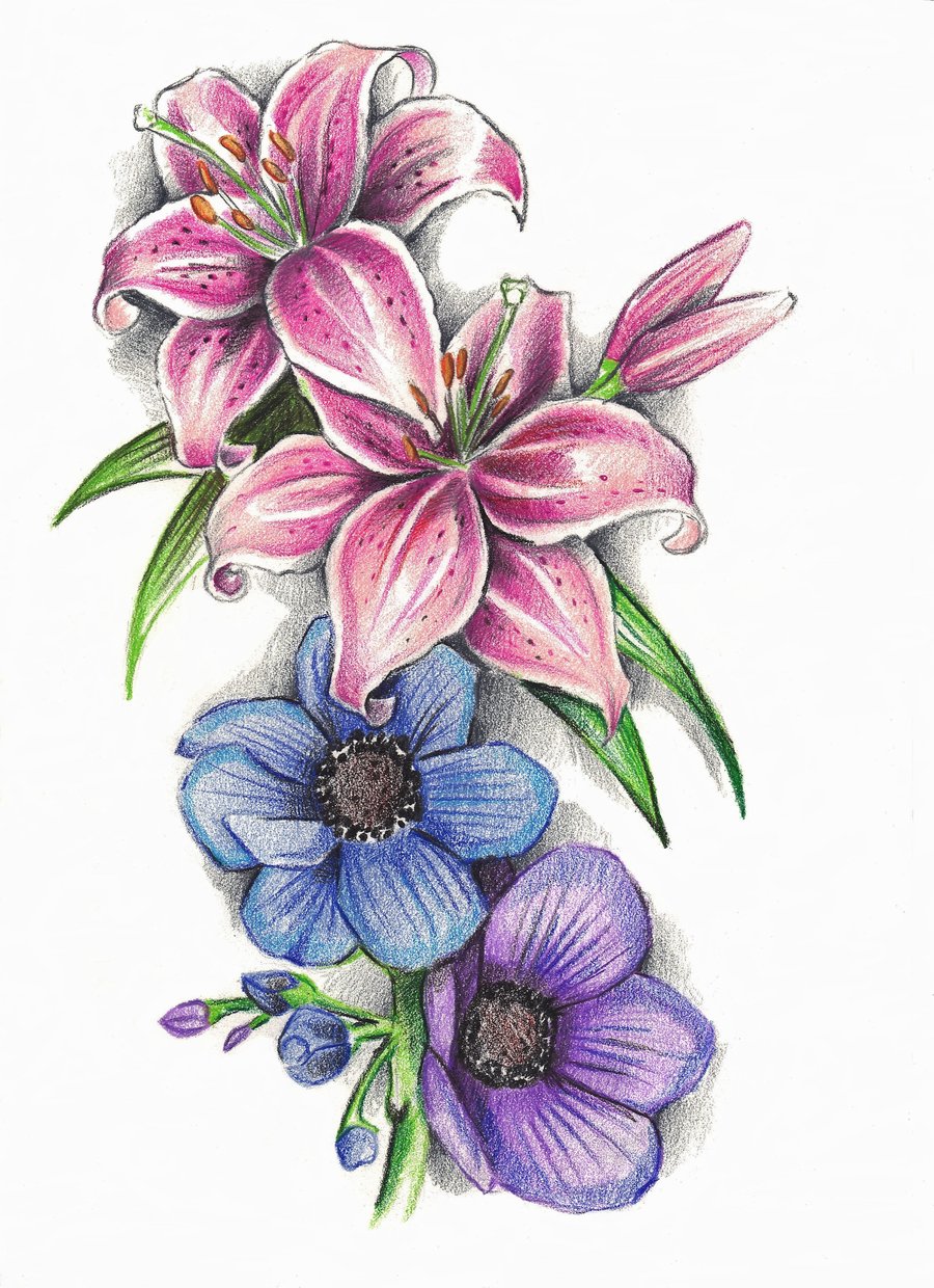 Stargazer Lilies Drawing at GetDrawings | Free download