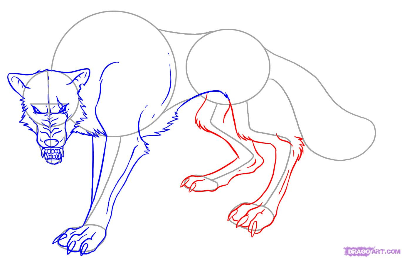 Научиться рисовать аниме волка