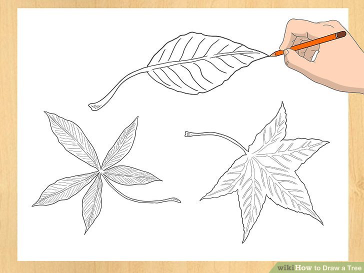 Step By Step Tree Drawing at GetDrawings Free download