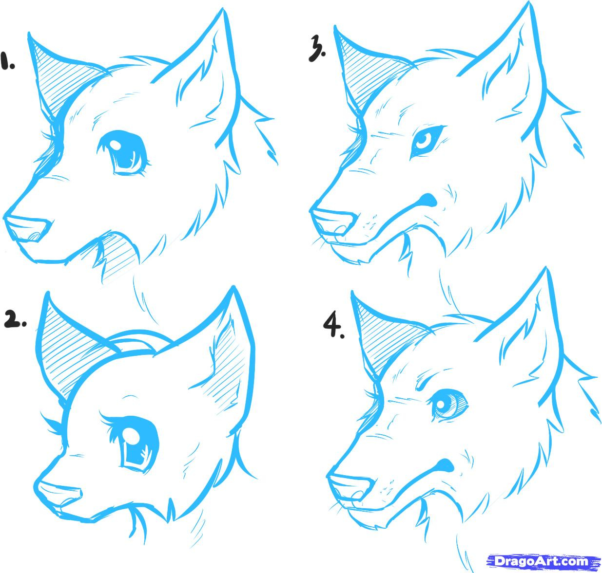 Easy To Draw Anime Wolfs / wolf running sketch Animal drawings, Wolf