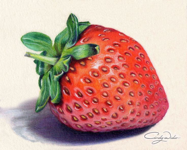 Strawberry Pencil Drawing at GetDrawings Free download