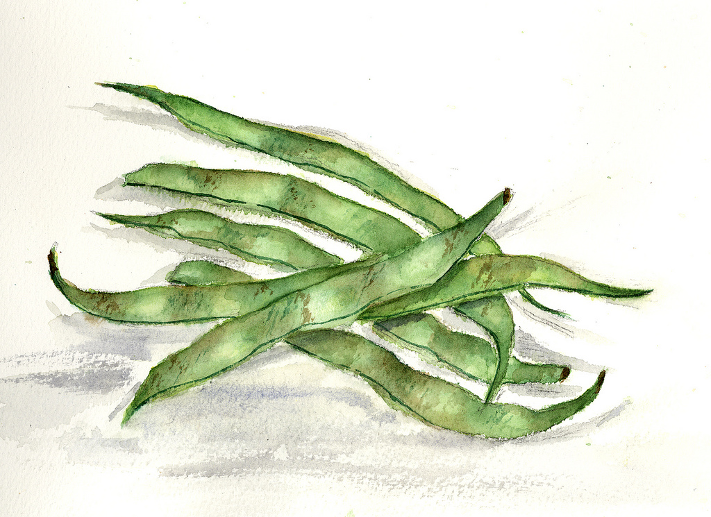 String Beans Drawing at GetDrawings | Free download