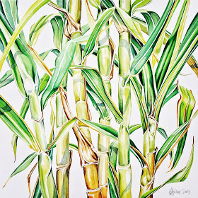 Sugar Cane Drawing at GetDrawings | Free download