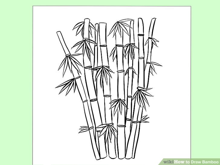 Sugarcane Drawing at GetDrawings | Free download