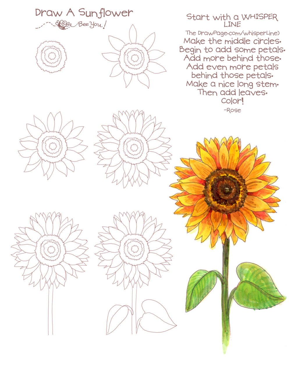 Sunflower Drawing Color at GetDrawings | Free download