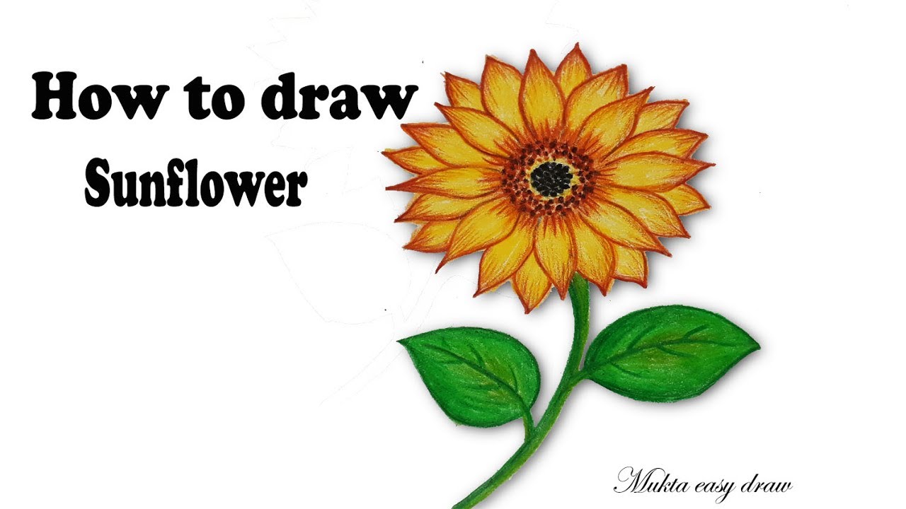 Sunflower Drawing Easy at GetDrawings Free download