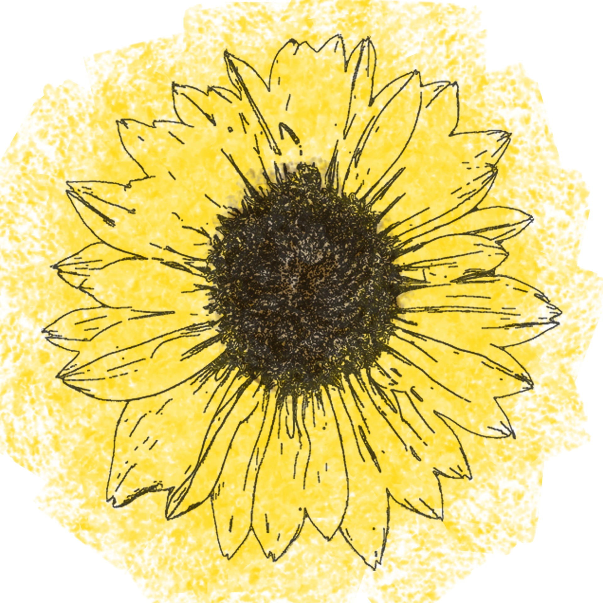 printable-sunflowers