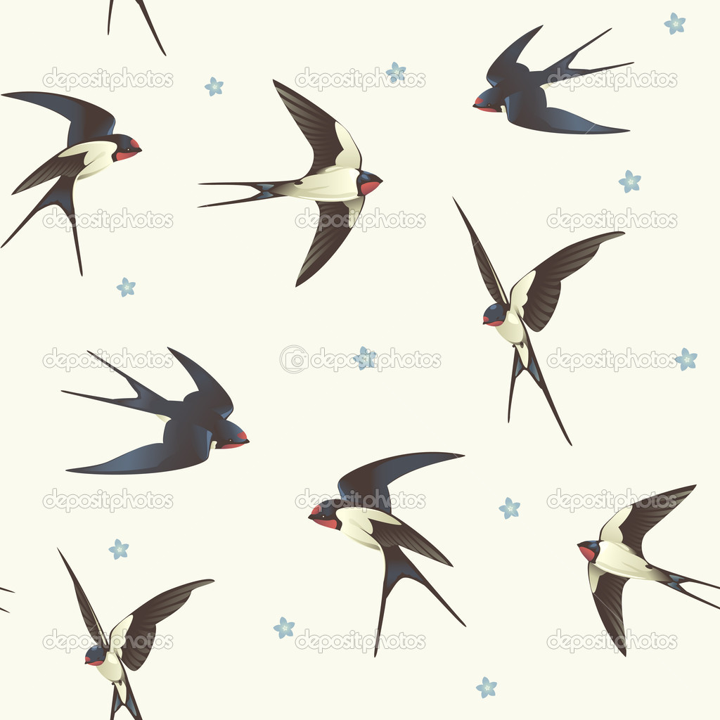 Swallow Bird Drawing At Getdrawings Free Download