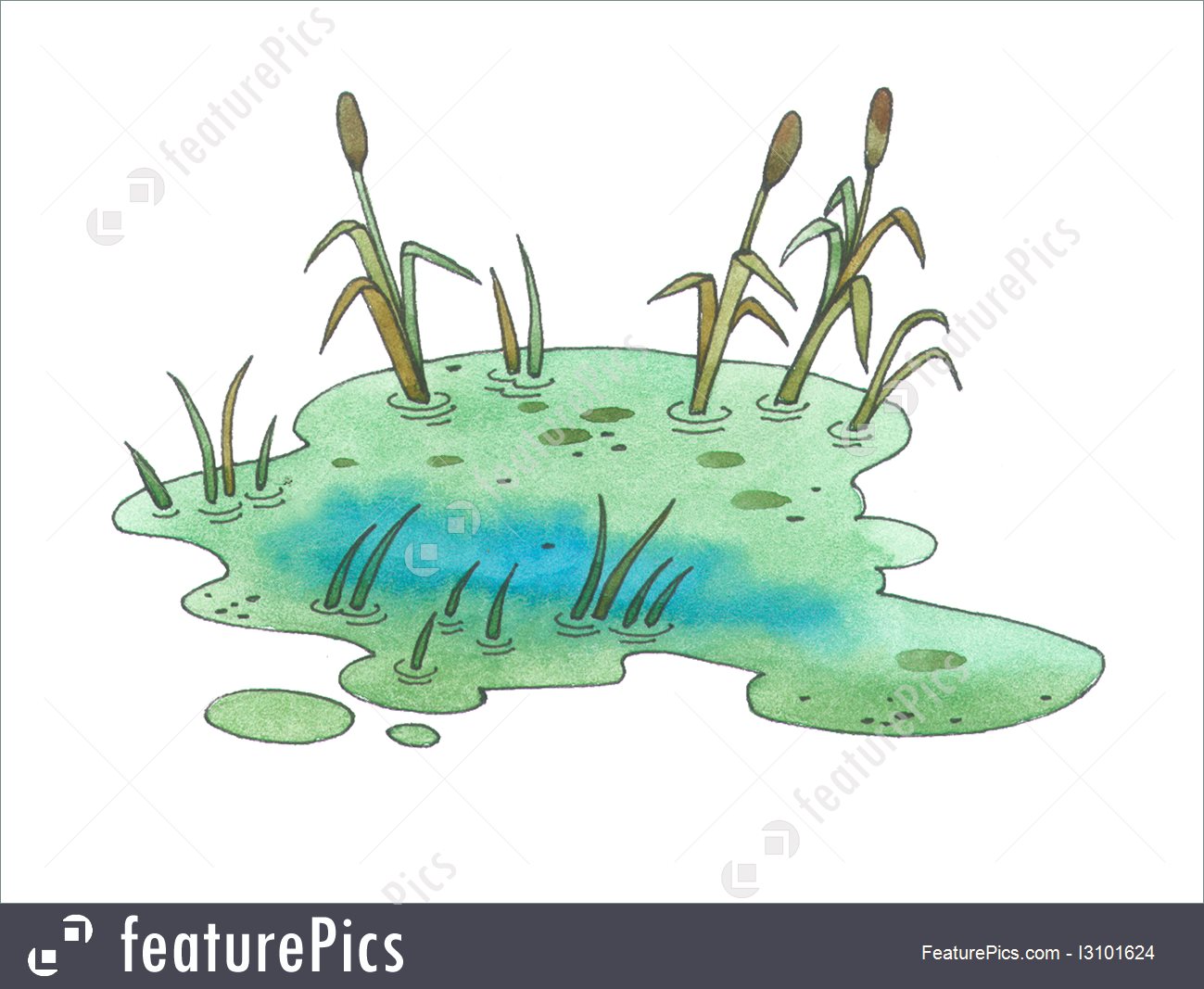 How To Draw A Swamp Draw Swamps Step By Step Watermas vrogue.co