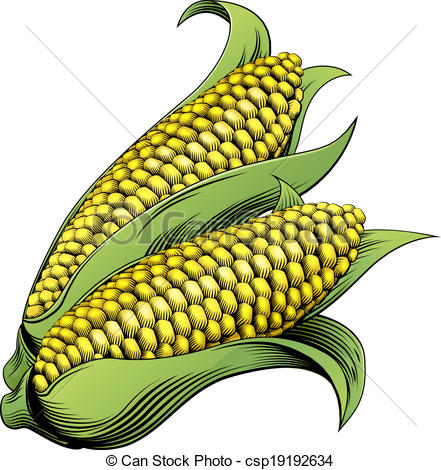 Sweet Corn Drawing at GetDrawings | Free download