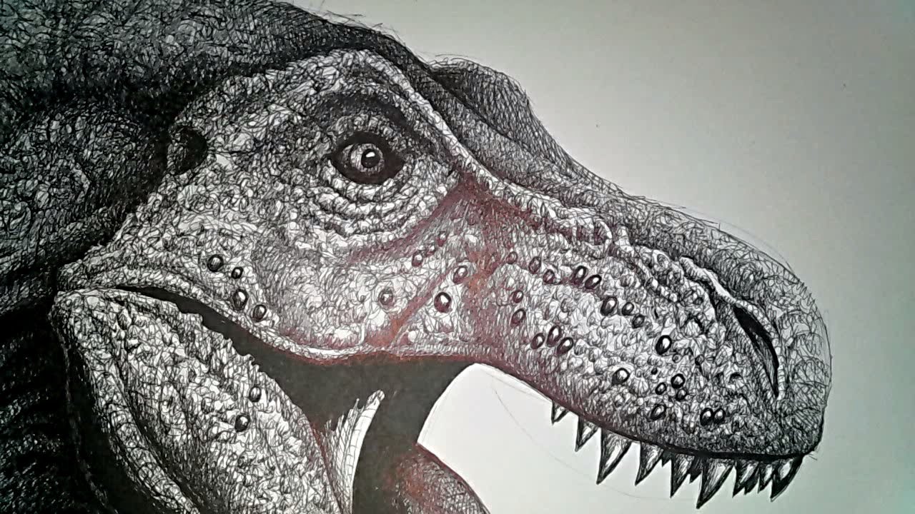 T Rex Dinosaur Drawing at GetDrawings Free download