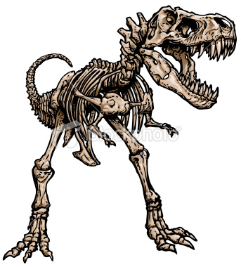 simple t rex skeleton drawing