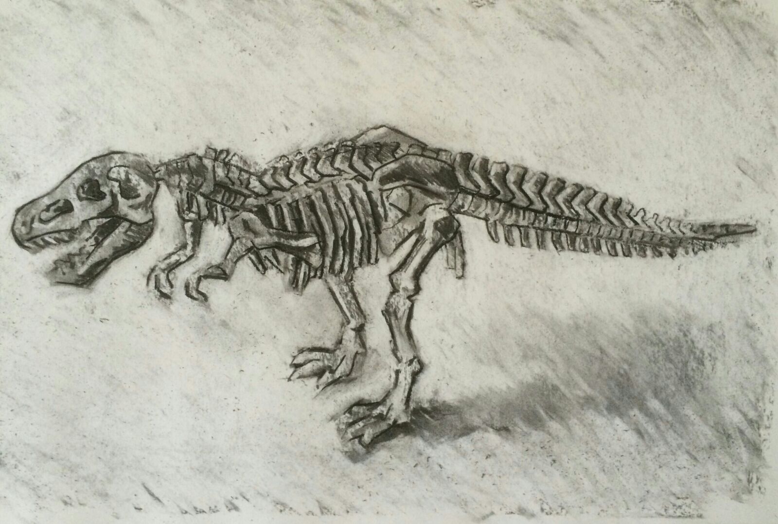T Rex Skeleton Drawing at GetDrawings Free download