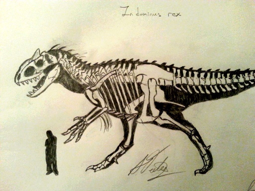 simple t rex skeleton drawing