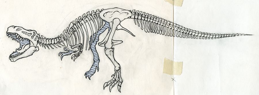 simple t rex skeleton drawing