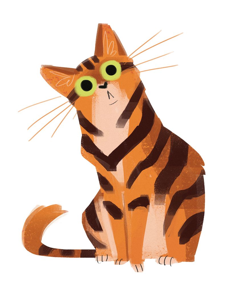 Tabby Cat Drawing at GetDrawings Free download