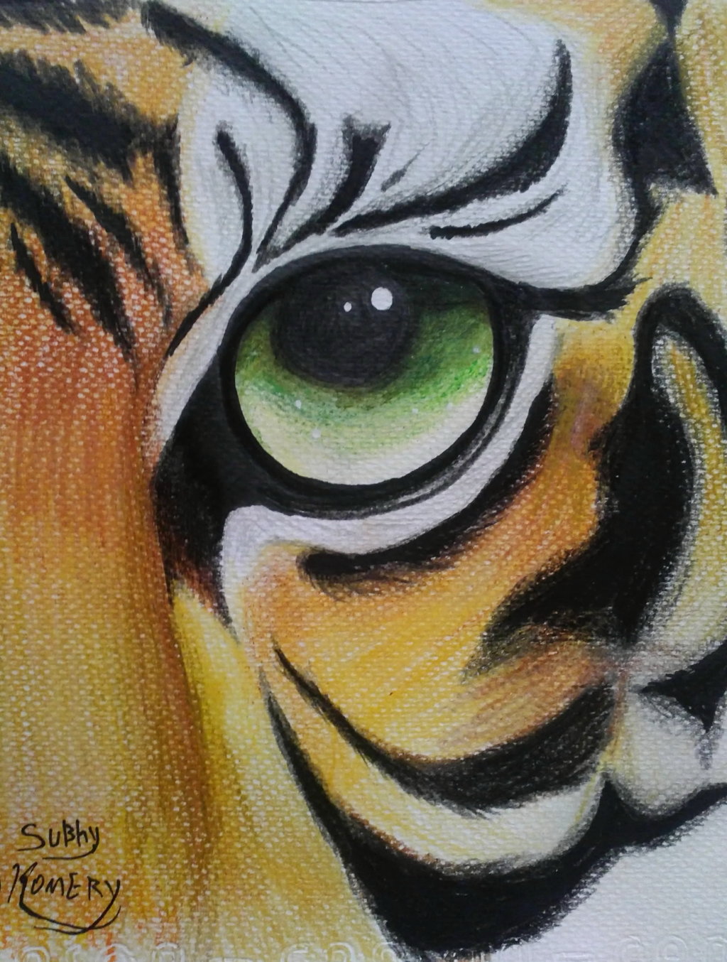 Глаза тигра для рисования