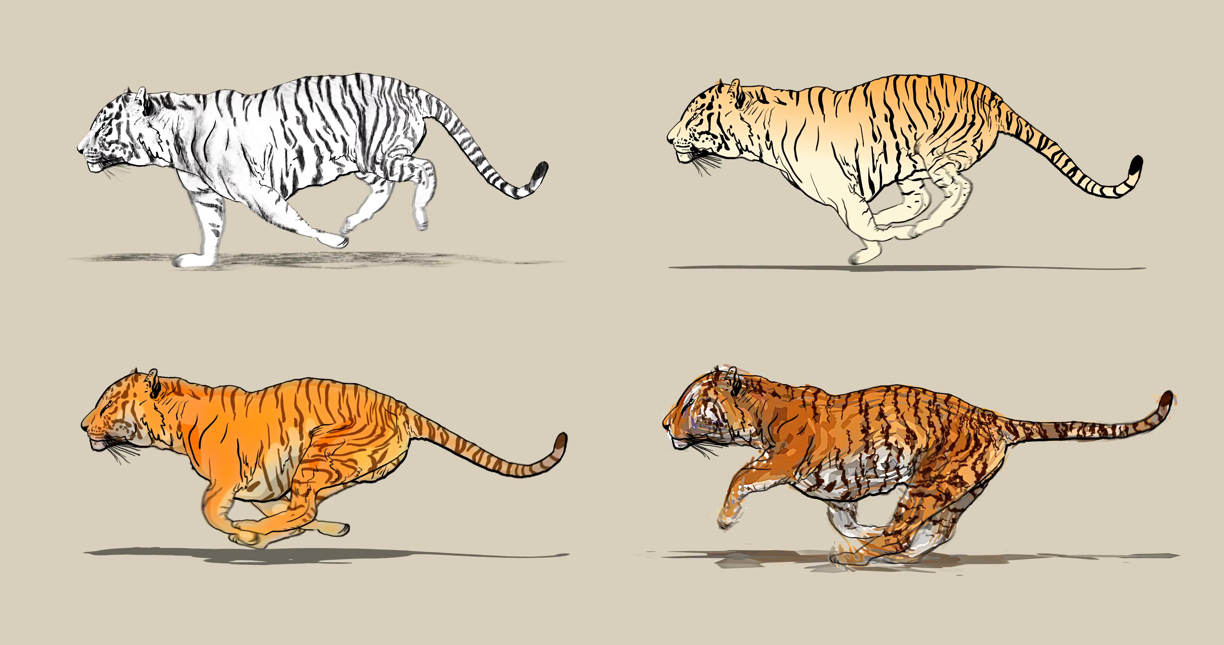 Амурский тигр референс