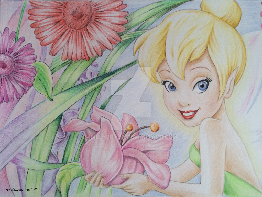 Tinkerbell Pencil Drawing At Getdrawings Free Download