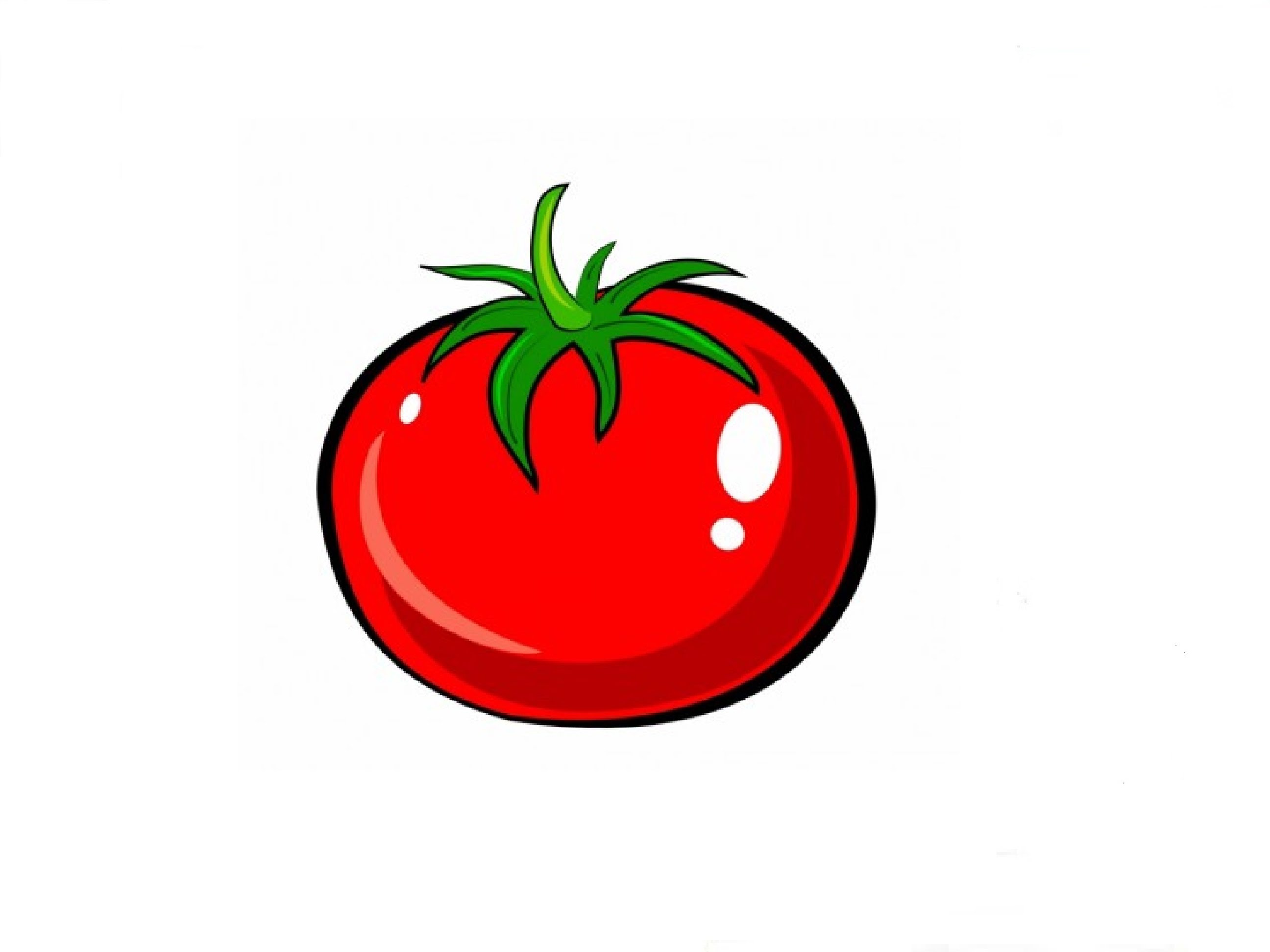 Unique Tomato Sketch Drawing for Beginner
