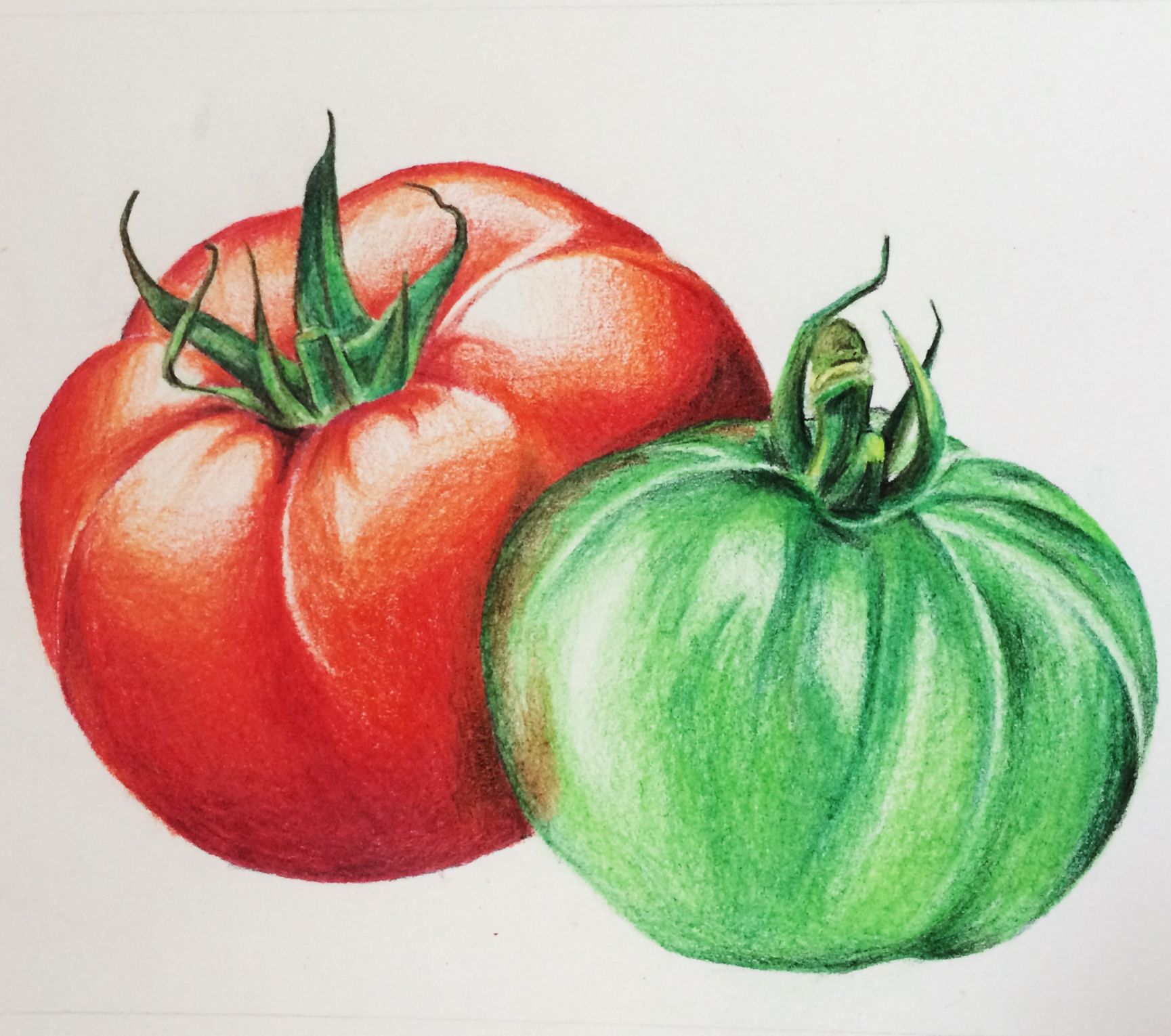 Tomato Drawing at GetDrawings Free download