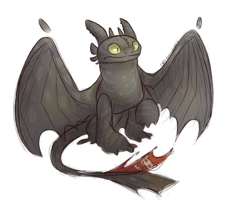 Toothless Dragon Drawing at GetDrawings Free download