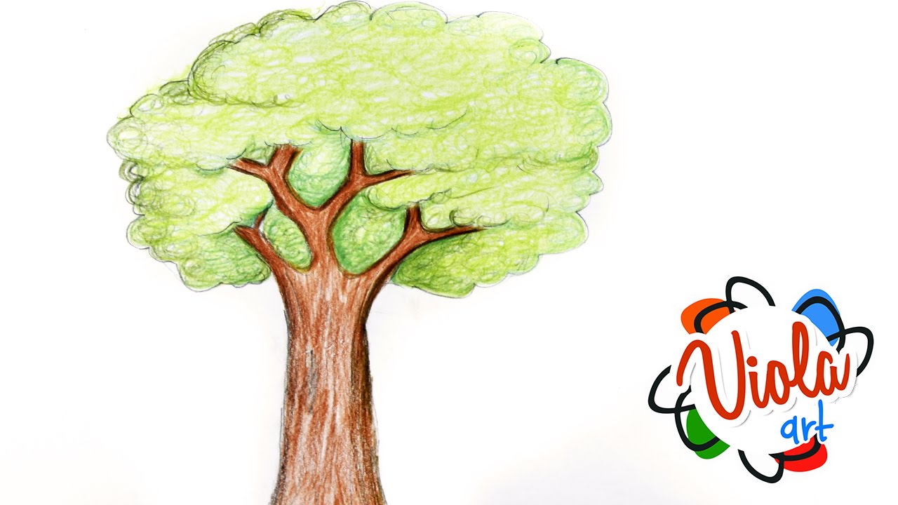 Pencil Tree Drawing With Color Easy - Jamies Witte