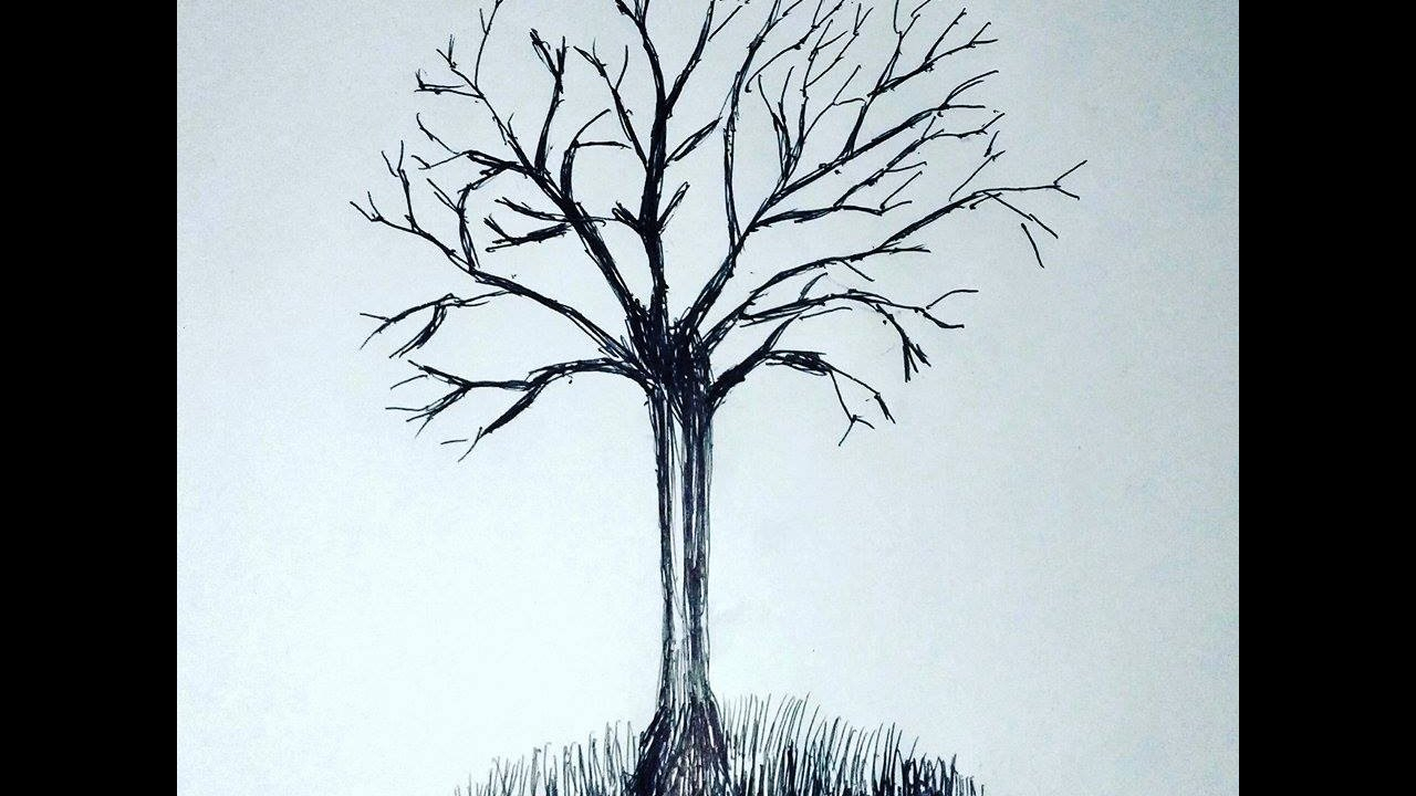 Amazing How To Draw A Tree With No Leaves of the decade The ultimate guide 