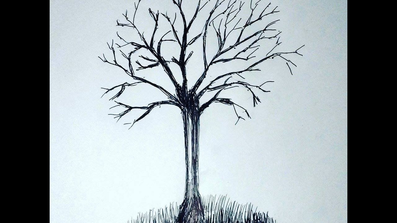 Tree Without Leaves Drawing at GetDrawings Free download