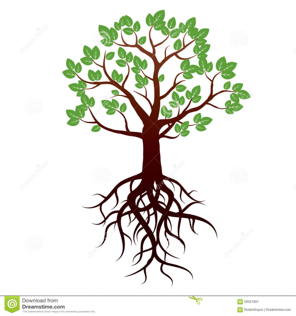 Trees With Roots Drawing at GetDrawings Free download