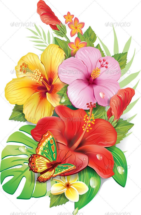 Tropical Flower Drawing at GetDrawings Free download